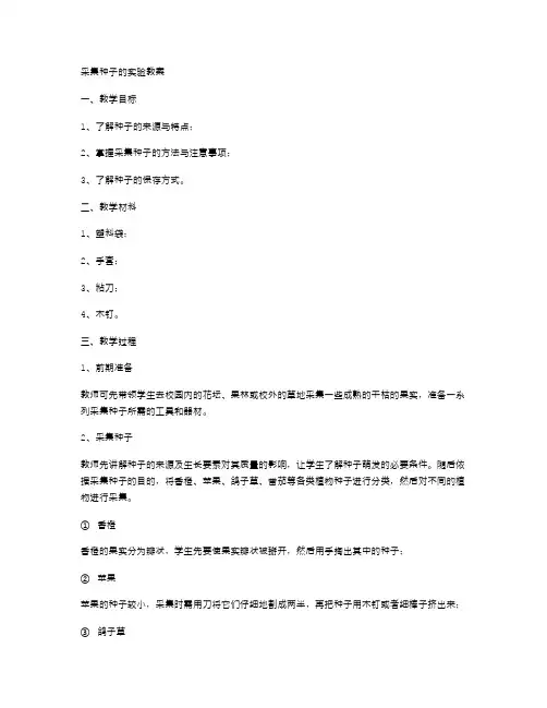 采集种子的实验教案