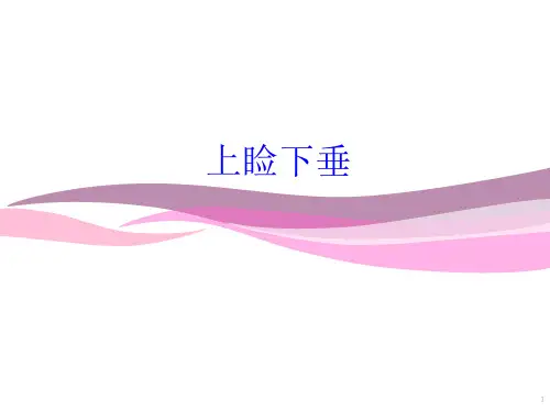 上睑下垂讲课课件