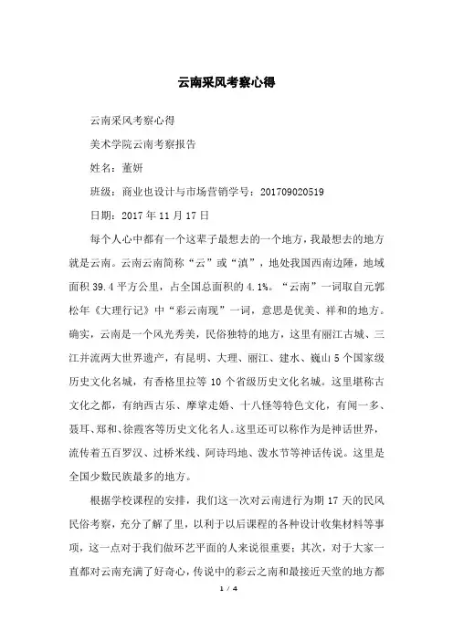 云南采风考察心得