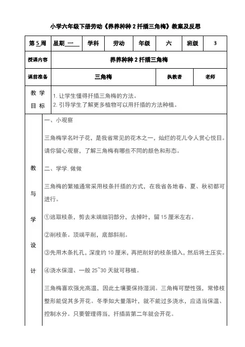 小学六年级下册劳动《养养种种2扦插三角梅》教案及反思