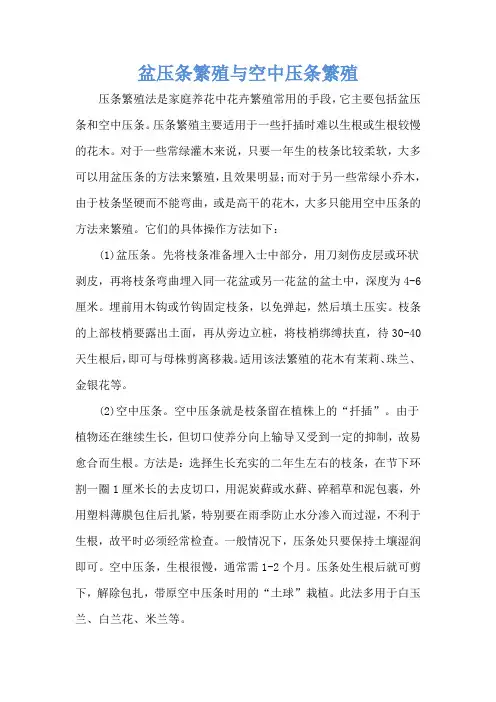 盆压条繁殖与空中压条繁殖