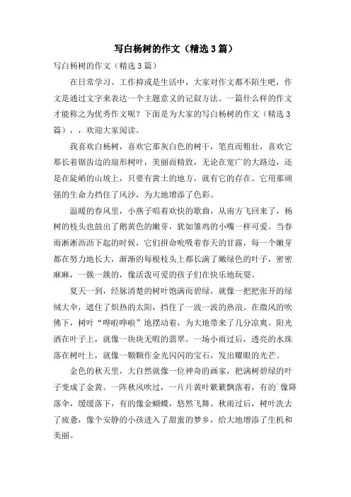 写白杨树的作文(3篇)