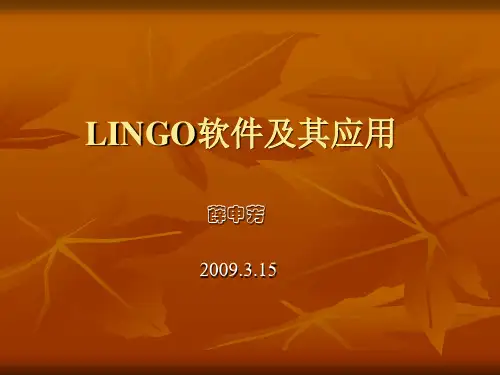 lingo软件及其应用(经典)