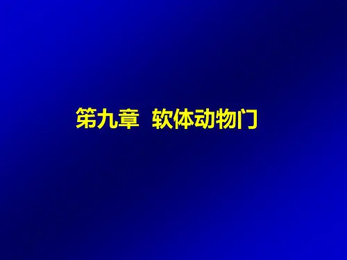 动物生物学：09-软体动物