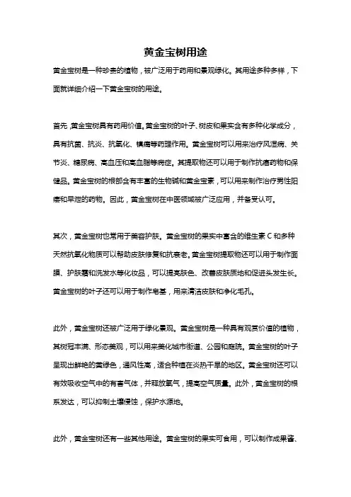 黄金宝树用途