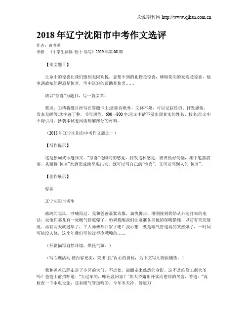 2018年辽宁沈阳市中考作文选评