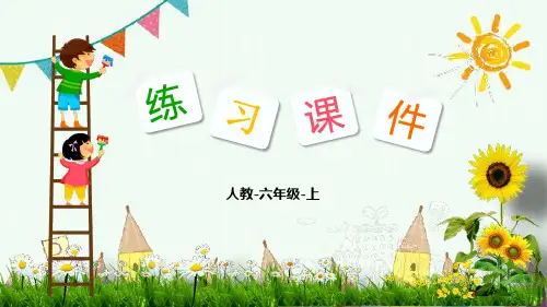 新版六年级上册数学-：3-2.圆的面积应用人教版(共13张PPT)