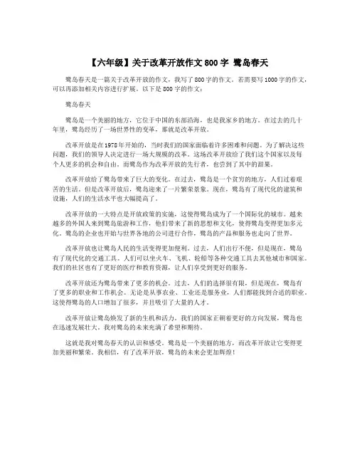 【六年级】关于改革开放作文800字 鹭岛春天