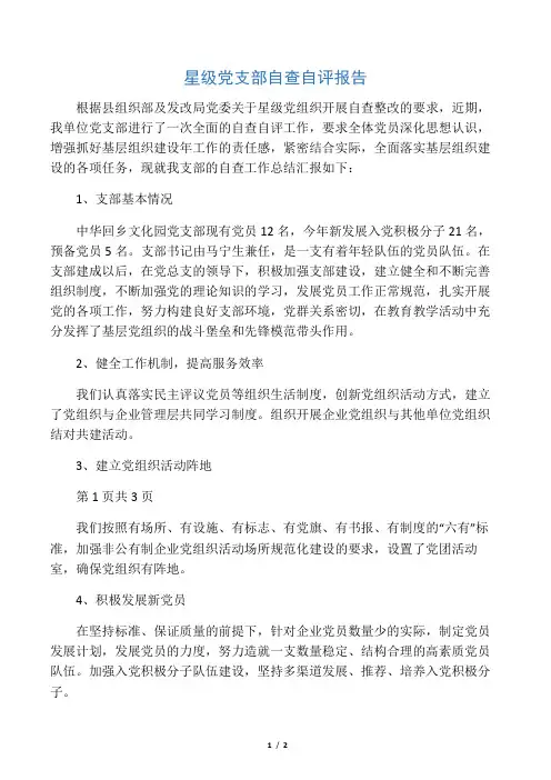 星级党支部自查自评报告
