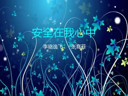 安全在我心中主题班会ppt课件