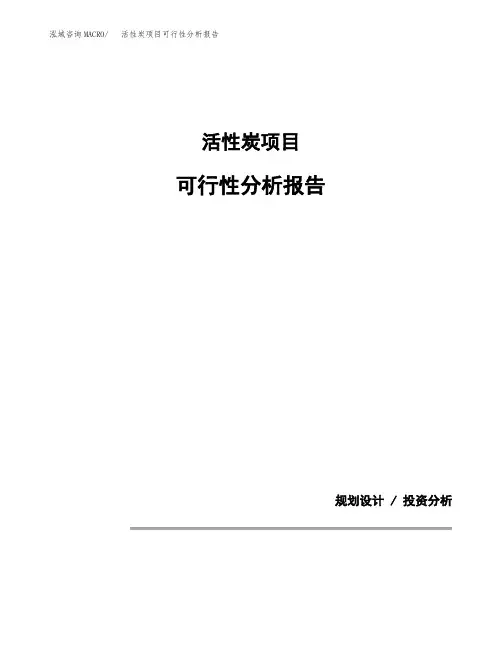 活性炭项目可行性分析报告(模板参考范文)