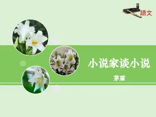 苏教版九年级语文上册课件：14《小说家谈小说》(第2课时)