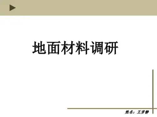 王芳静地面调研报告