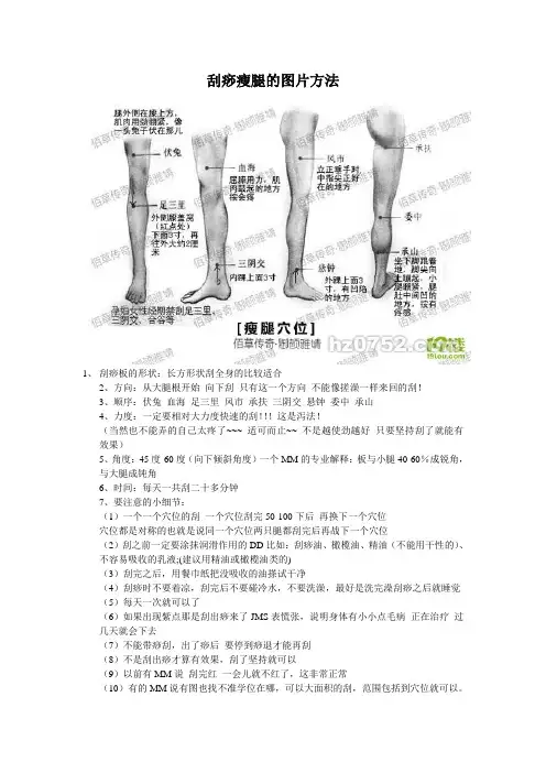 刮痧瘦腿的图片方法