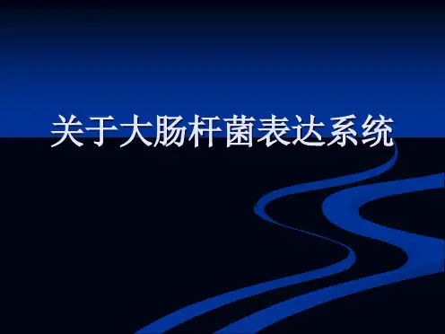 大肠杆菌表达系统