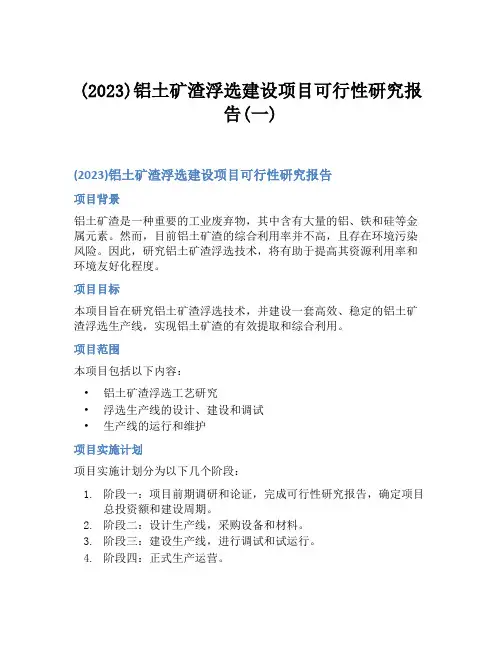 (2023)铝土矿渣浮选建设项目可行性研究报告(一)