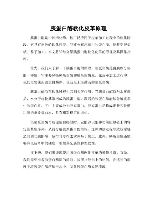 胰蛋白酶软化皮革原理