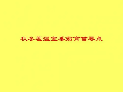 秋冬茬番茄育苗技术ppt
