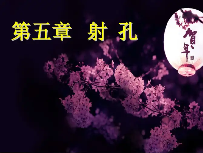 第五章 射孔