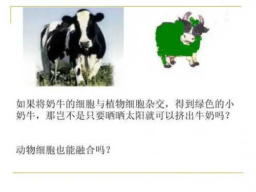 人教版教学课件[名校联盟]福建省三明市泰宁一中生物选修三22《动物细胞工程》课件2