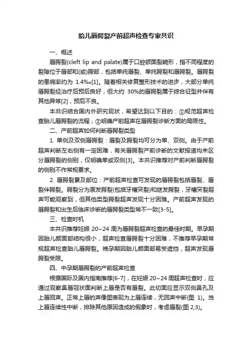 胎儿唇腭裂产前超声检查专家共识