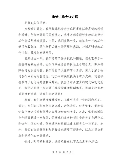审计工作会议讲话
