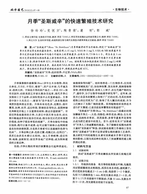 月季“圣斯威辛”的快速繁殖技术研究