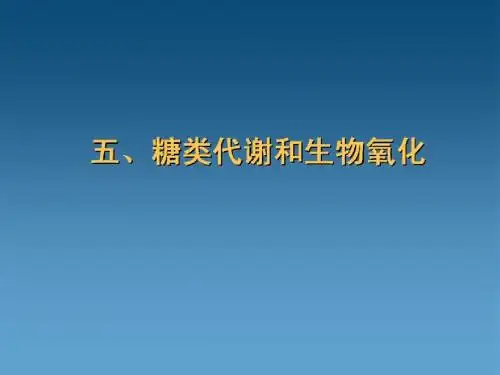 吉林大学食品生物化学 9 糖代谢-2