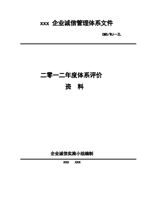体系评价报告