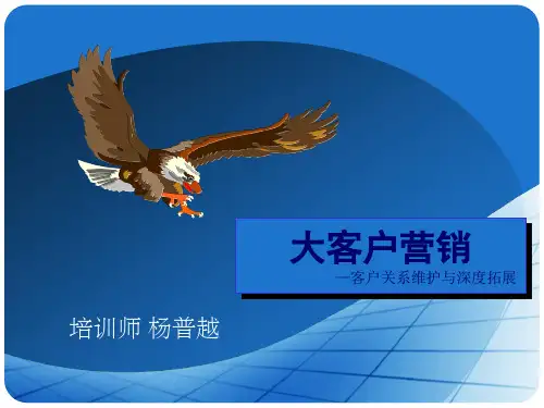 大客户营销_客户关系维护与深度拓展(PPT31页)