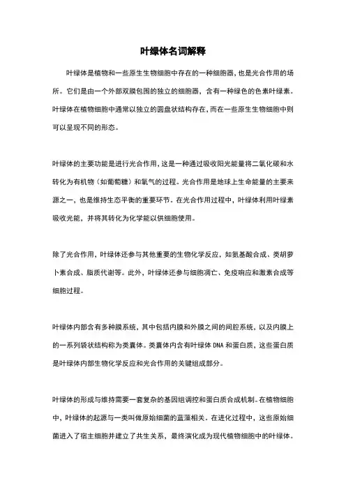 叶绿体名词解释