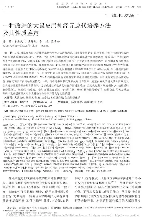 一种改进的大鼠皮层神经元原代培养方法及其性质鉴定_姜茜
