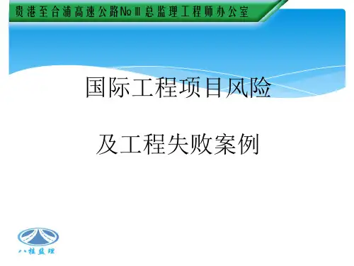 国际工程项目风险及工程失败案例(PPT 52张)