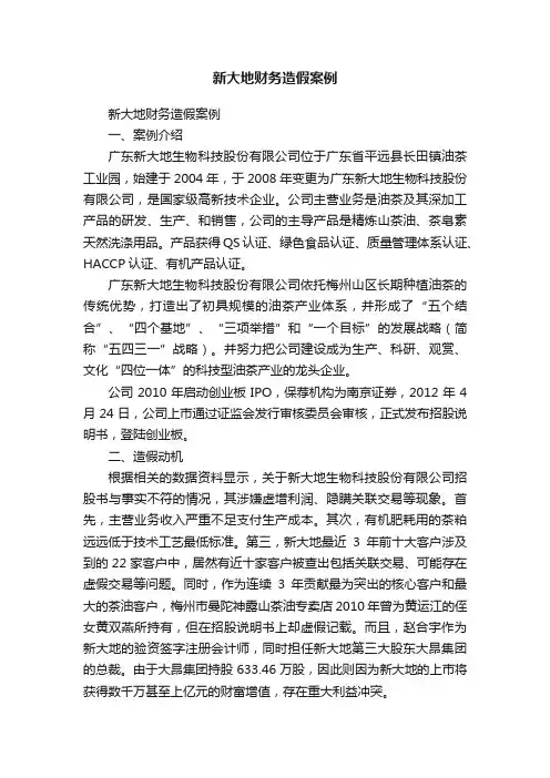 新大地财务造假案例