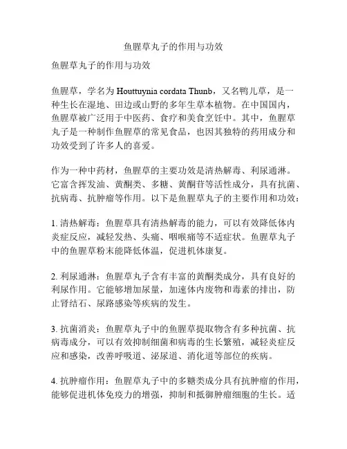鱼腥草丸子的作用与功效