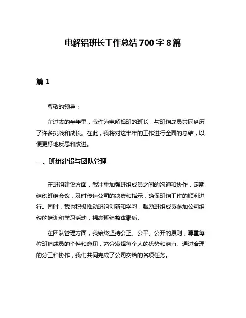 电解铝班长工作总结700字8篇