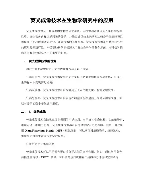 荧光成像技术在生物学研究中的应用