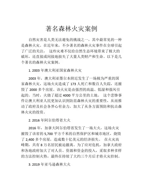 著名森林火灾案例