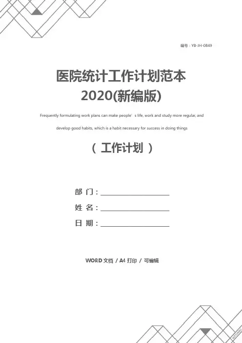 医院统计工作计划范本2020(新编版)