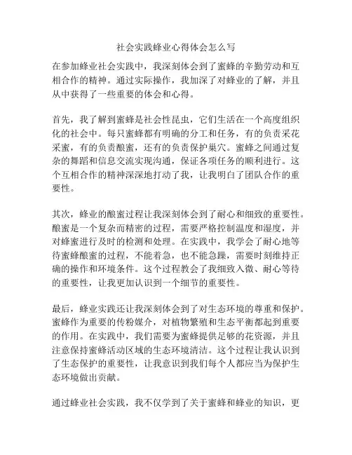 社会实践蜂业心得体会怎么写