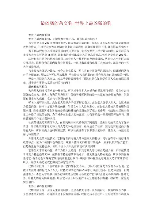 最凶猛的杂交狗-世界上最凶猛的狗