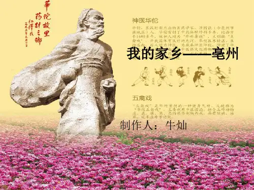 我的家乡——亳州