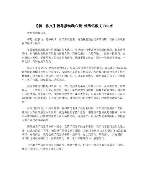 【初二作文】骏马拨动我心弦 优秀记叙文700字