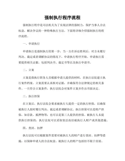 强制执行程序流程