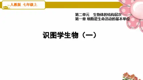 人教版七年级生物上册识图学生物(一)