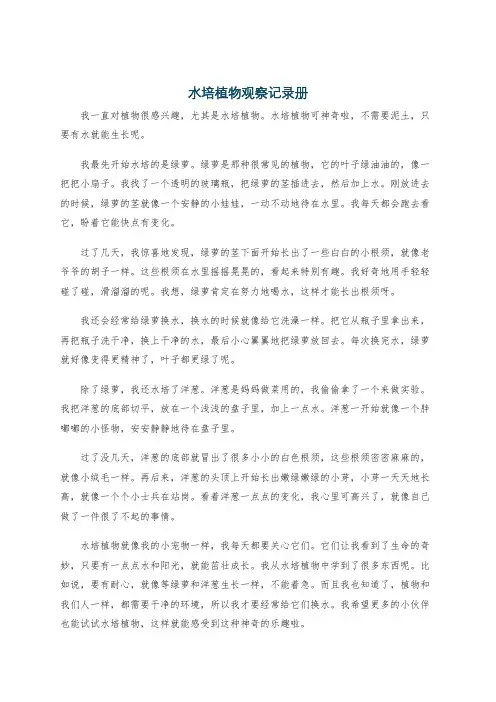水培植物观察记录册