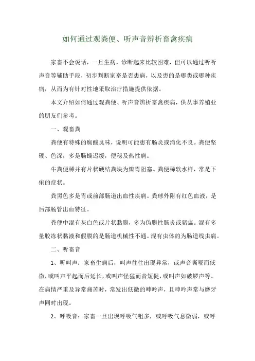 如何通过观粪便、听声音辨析畜禽疾病