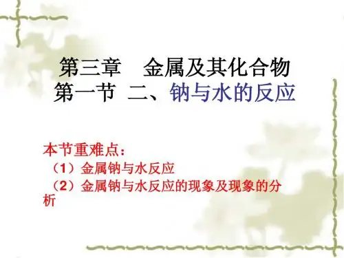 钠与水反应    1课时