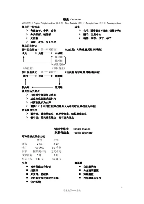 医学寄生虫学之绦虫