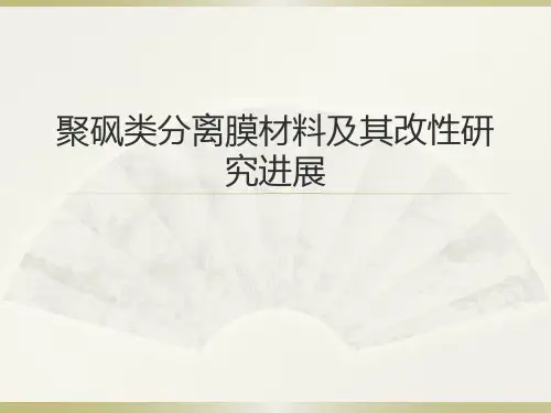 聚砜类膜材料的改性
